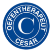 Cesarpraktijk